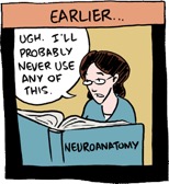 What Is Pain Neuroanatomy comic