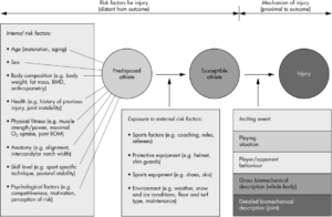 Risk Factors 3