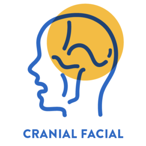 cranial facial