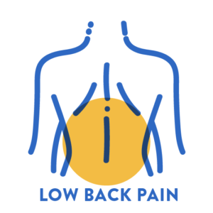 PTS Home Icon Low Back Pain