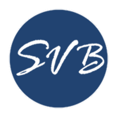 PTS Parter Logo SVB