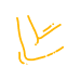 pain-area-icon