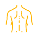 pain-area-icon